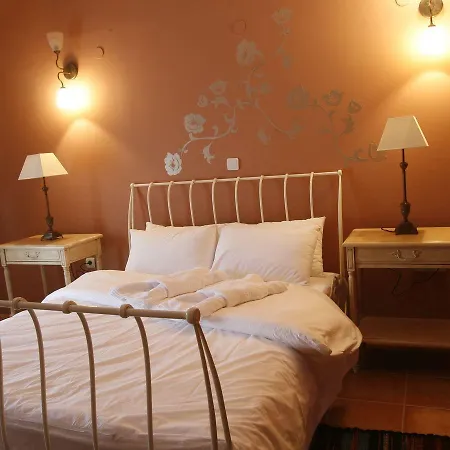 Otel Aloni Toy Kir Thanasi &