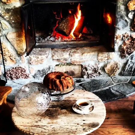 Aloni Toy Kir Thanasi & 3*