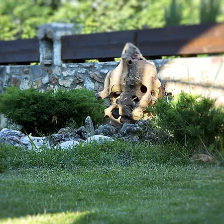 Otel Aloni Toy Kir Thanasi & Volakas