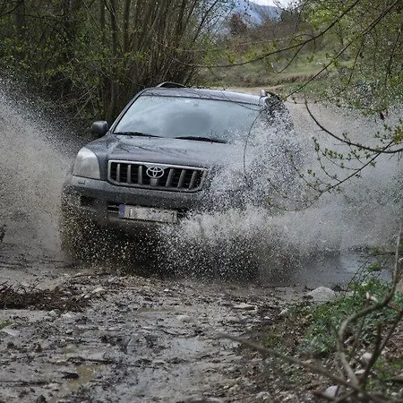 Aloni Toy Kir Thanasi &