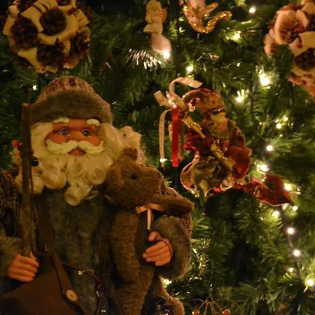 Aloni Toy Kir Thanasi & 3*