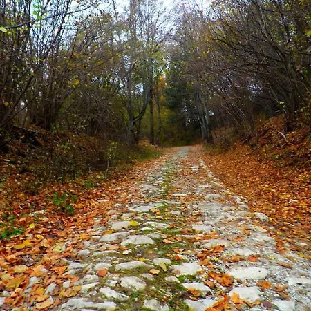 Aloni Toy Kir Thanasi & Otel 3*